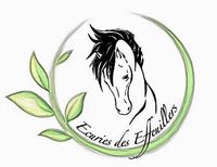 Bienvenue au club